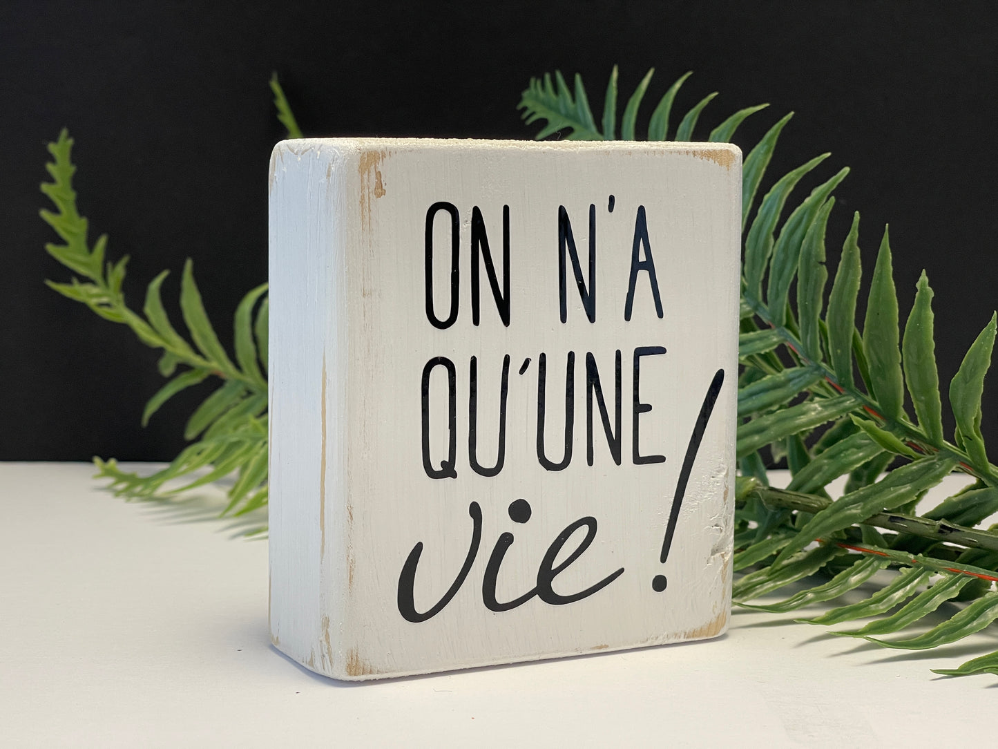 on n'a qu'une vie!